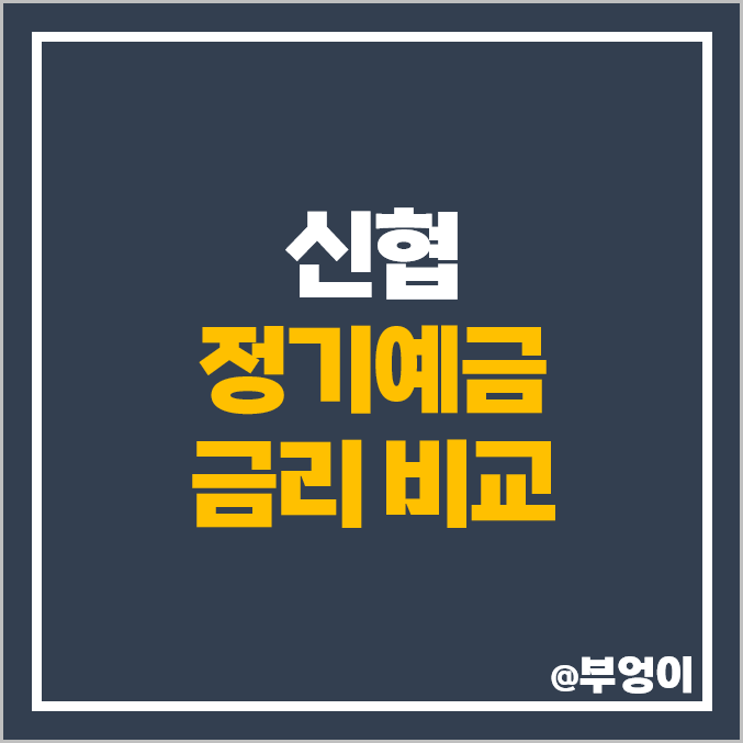 신협 정기예금 금리 비교 1년 2년 3년 이자 높은 예금 특판 추천 신협 정기예금 금리 비교 1년 2년 3년 이자 높은 예금 특판 추천