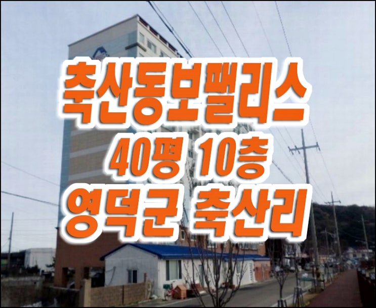 영덕군 축산면 축산동보팰리스 아파트 경매 매매 영덕군 축산면 축산동보팰리스 아파트 경매 매매