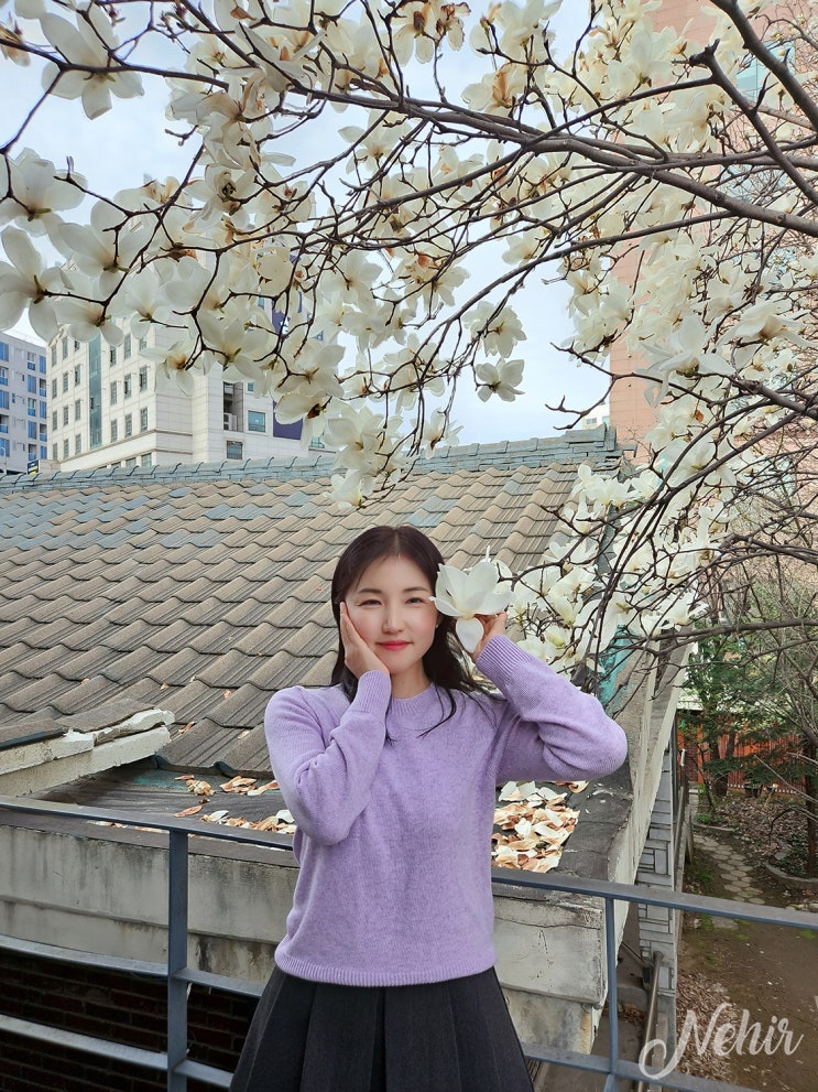 서울 어린이대공원 벚꽃 동물원 놀이기구