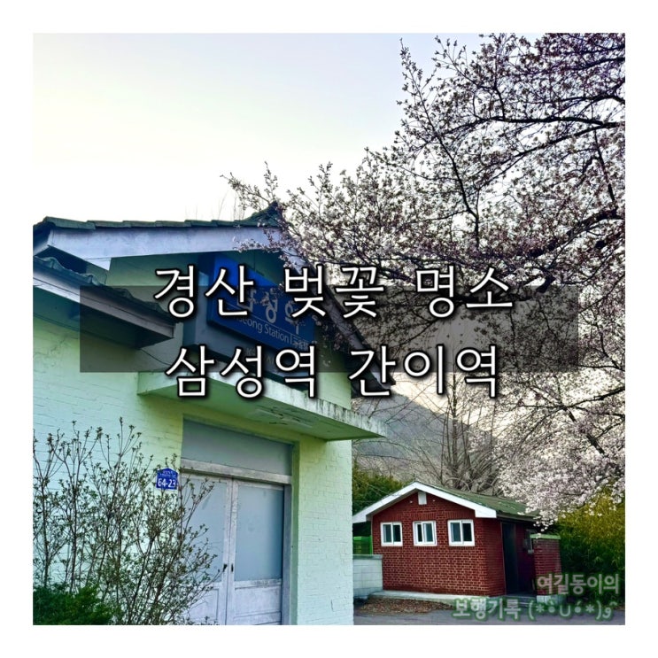  경북 벚꽃 명소 |  경산 삼성역 간이역