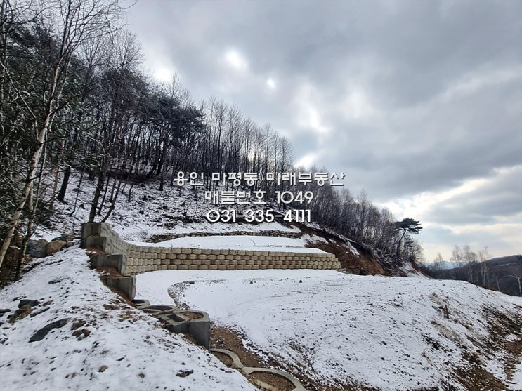  평당 100만 원도 안 하는 전망 좋은 용인 양지면 대대리 전원주택 토지 매매