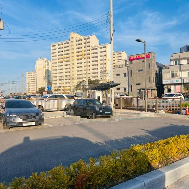 정성로스 사진 4