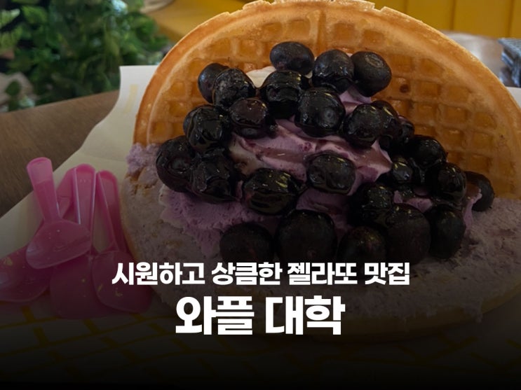  젤라또 아이스크림 시원한 간식 와플 디저트 맛집 와플대학 안산월피 캠퍼스점