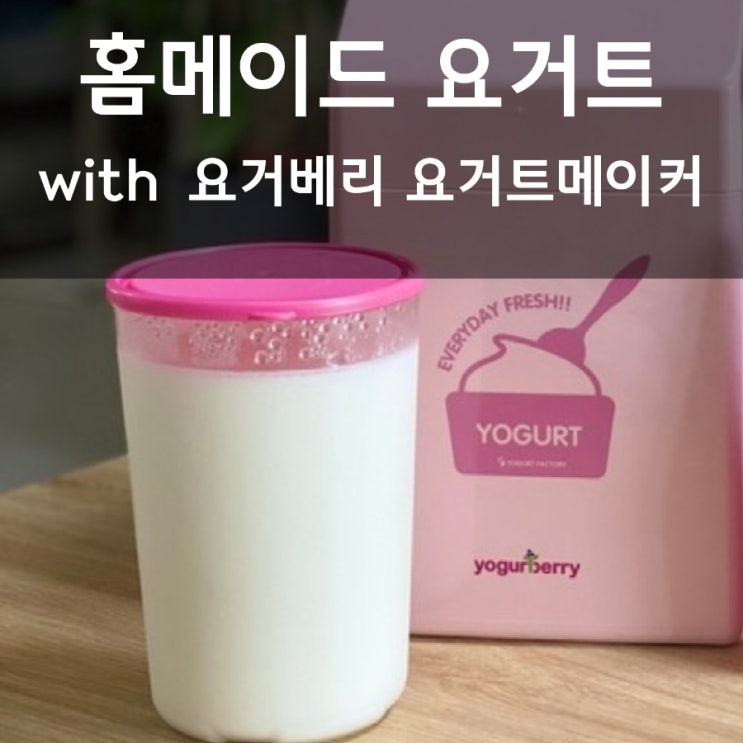  요거트 만들기 전기없이 요거베리 요거트 메이커 활용