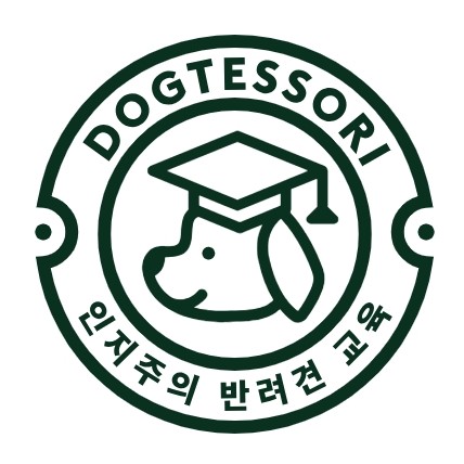   독테소리 상담 후기️ / 진돗개 훈련소 추천