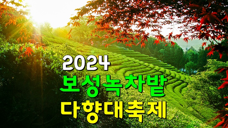 전라남도 보성군 5월 차문화축제, 2024 보성다향대축제 (기본정보 주차장 한국차문화공원 녹차밭) 전라남도 보성군 5월 차문화축제, 2024 보성다향대축제 (기본정보 주차장 한국차문화공원 녹차밭)