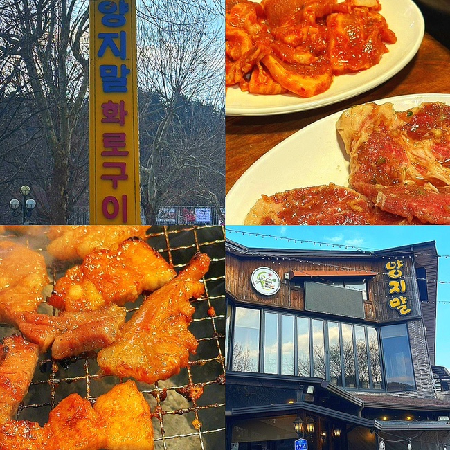  강원도 홍천 맛집, 고추장삼겹살 찐맛집 "양지말 화로구이" 솔직후기 (주차, 메뉴, 포장, 주말 웨이팅)