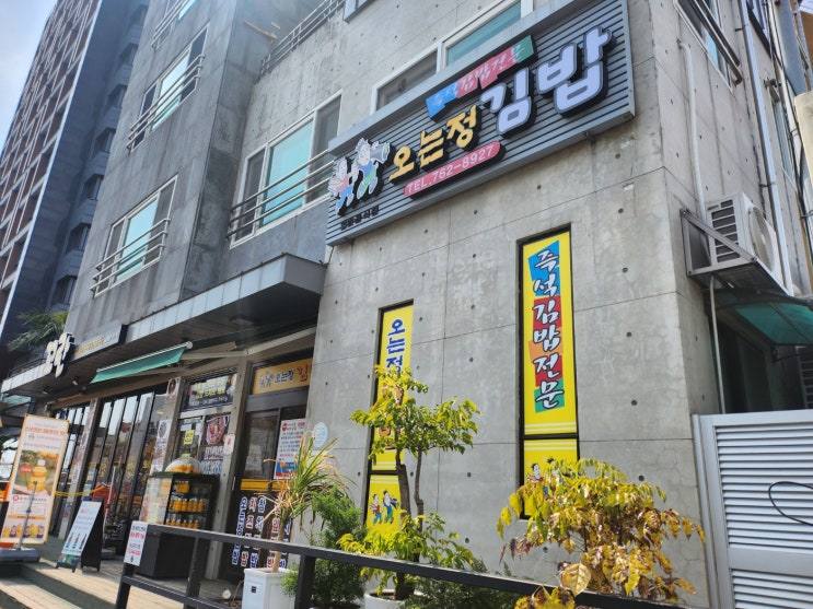  [제주도/서귀포] "맛이 변했다" 김밥 맛집 성지 '오는정김밥' +전화, 예약, 주차