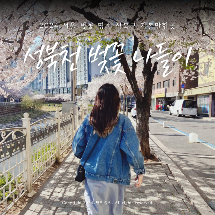 서울 벚꽃 명소 2024 성북천 실시간 개화상황과 사진찍기 좋은 곳