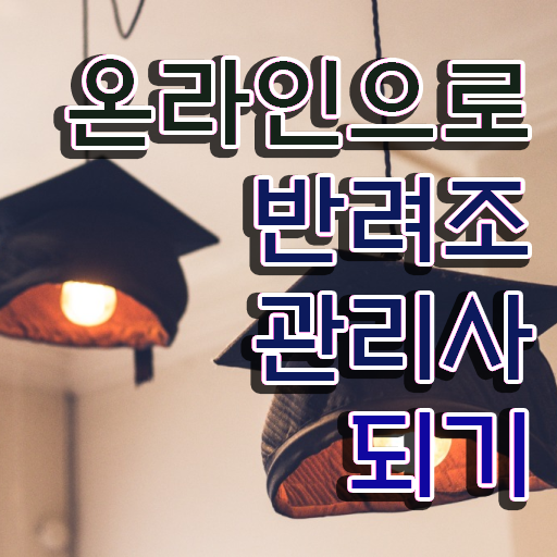  파인애플코뉴어앵무새 , 반려조관리사 자격증 20일 만에 취득 노하우 최신정보 공유