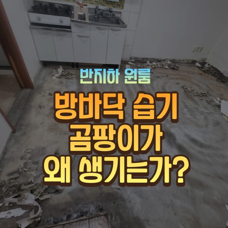  반지하 원룸의 방바닥 습기와 장판 곰팡이는 왜 생기는가