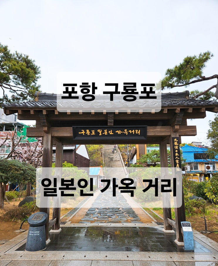  포항 일본 시골 마을 느낌나는 드라마 동백꽃 필 무렵 촬영지 구룡포 일본인 가옥거리