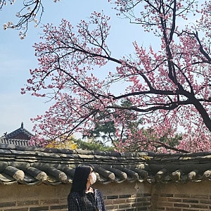 (홍보) 롯데홈쇼핑 봄 간절기 코디로 딱인 바이브리짓 트위드자켓
