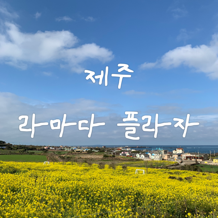  제주 | 라마다프라자 제주호텔 (스탠다드패밀리트윈룸, 룸컨디션, 오션뷰)