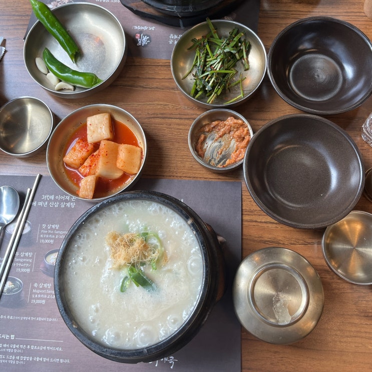  교대역맛집 존맛 잣 삼계탕 있는 교대 한식 맛집 3대삼계장인