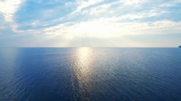  화곡바리스타 , 바리스타 자격증 합격 후기 확인해보세요  바리스타 2급 갱신 , 바리스타실무지도사 자격증 온라인강의 무료, 독학으로 공부하고 합격한 정보 정보 필요하시죠