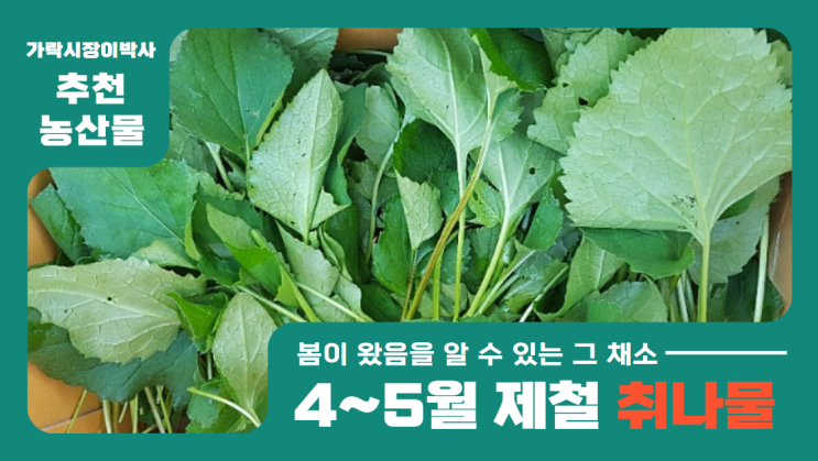 [경매사 추천 농산물] 요즘 취나물 경매는 잘 되고 있나요?