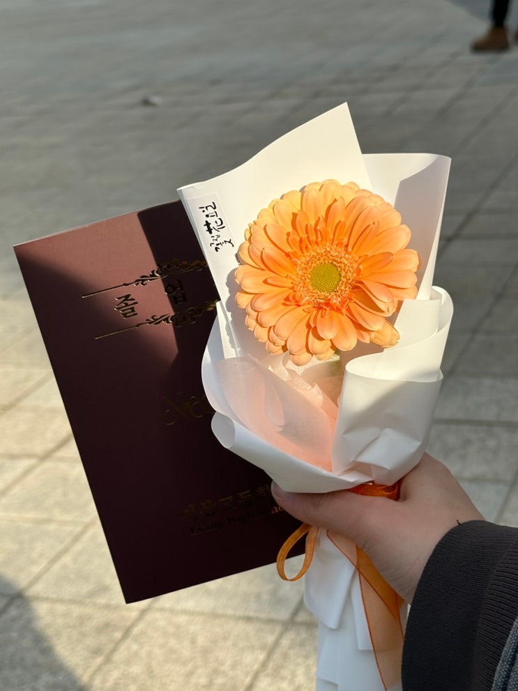 미니<b>팬미팅</b> / 아일릿 엠카 인기가요 사녹 후기 / 케이팝친구들... 