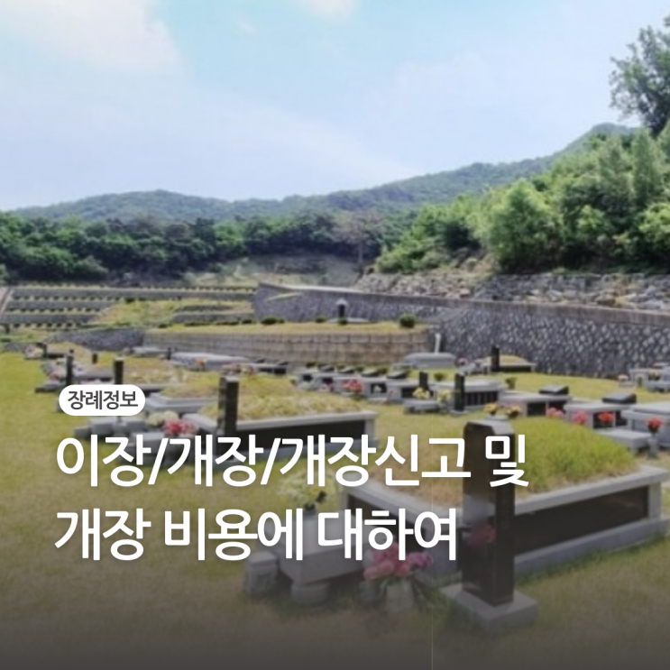  이장/개장/개장신고 및 개장 비용에 대하여