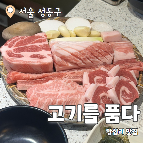  고기를 품다 : 왕십리 예약필수 맛집 고품스페셜 내돈내산후기