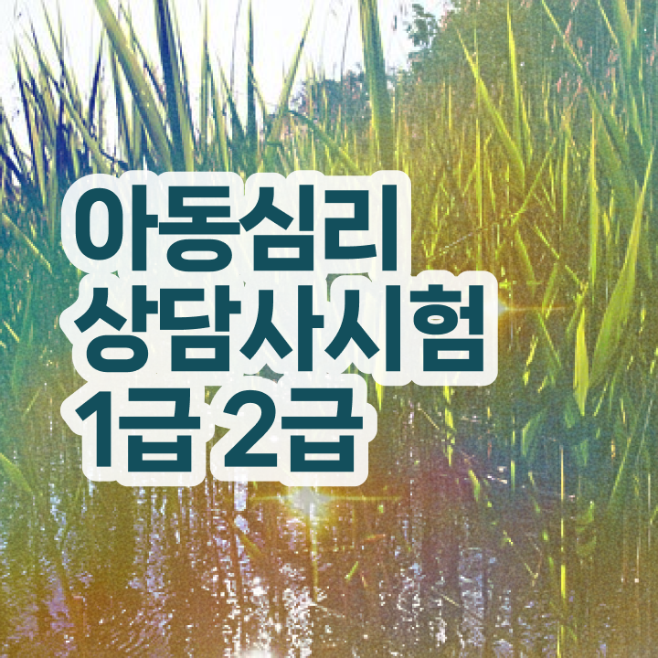  2급심리상담사강의 , 심리상담사 자격증 역할과 하는일 후기 및 합격 팁