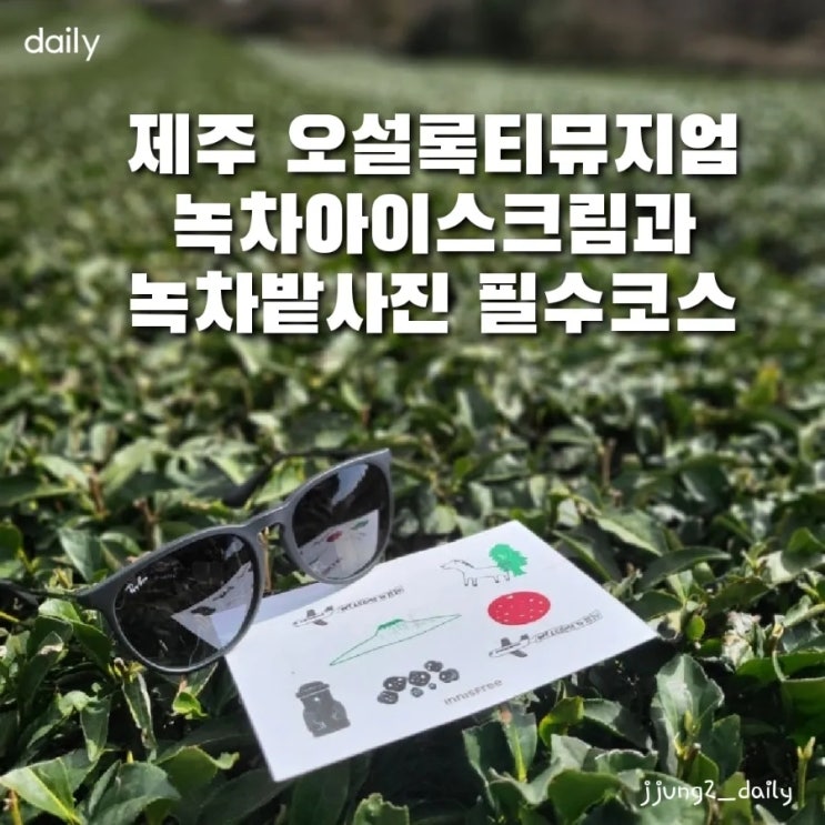 제주 오설록 티뮤지엄 말차아이스크림 & 녹차밭