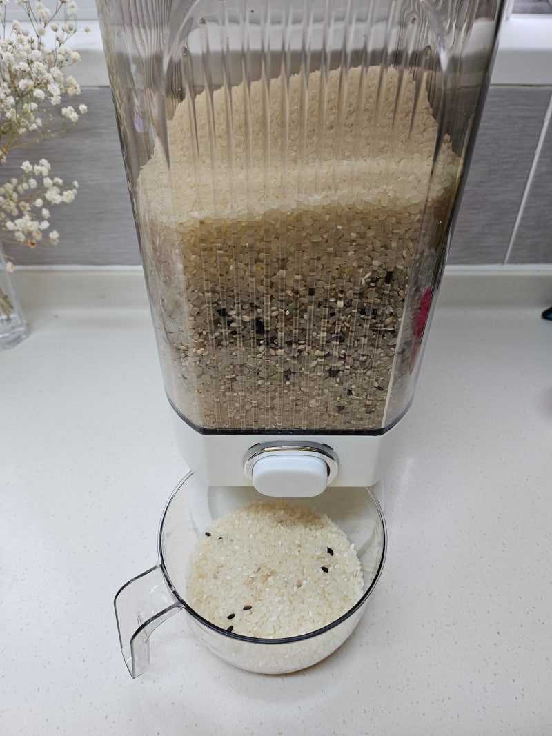레토 원터치 계량 쌀통 10Kg