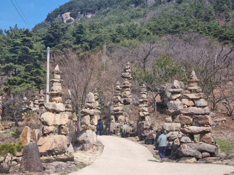  경남 합천 여행 돌 탑이 가득한 소원 성지 천불천탑