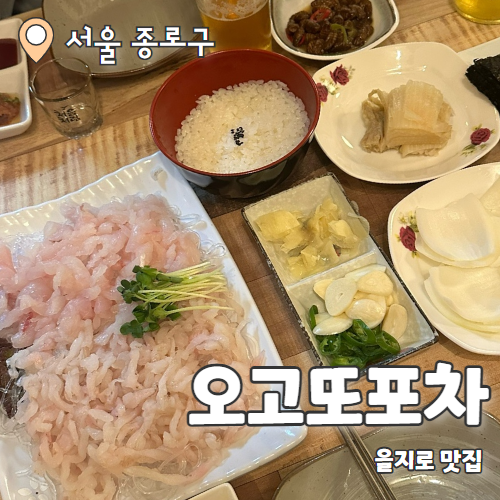  오고또포차 : 종각 노포맛집 막회이모카세 내돈내산 후기