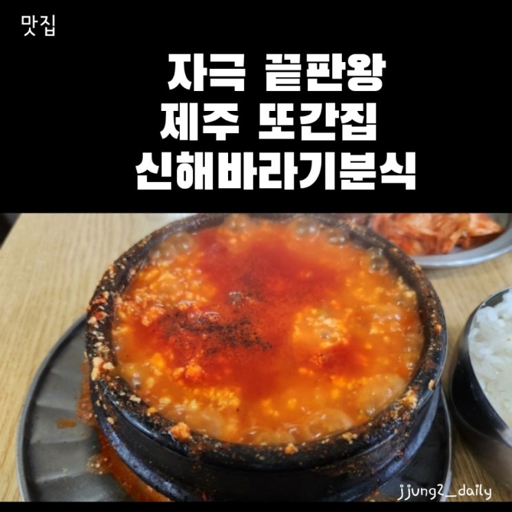  제주 또간집 신해바라기분식 순두부 주차정보와 평일 웨이팅  솔직후기