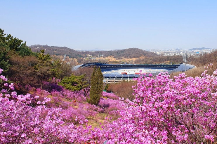 부천 원미산 진달래 축제 꽃구경 여행으로 가볼만한 곳 부천 원미산 진달래 축제 꽃구경 여행으로 가볼만한 곳