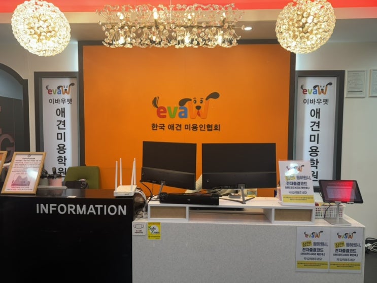  대전애견미용학원 야간반 자격증 펫 미용 찾는다면