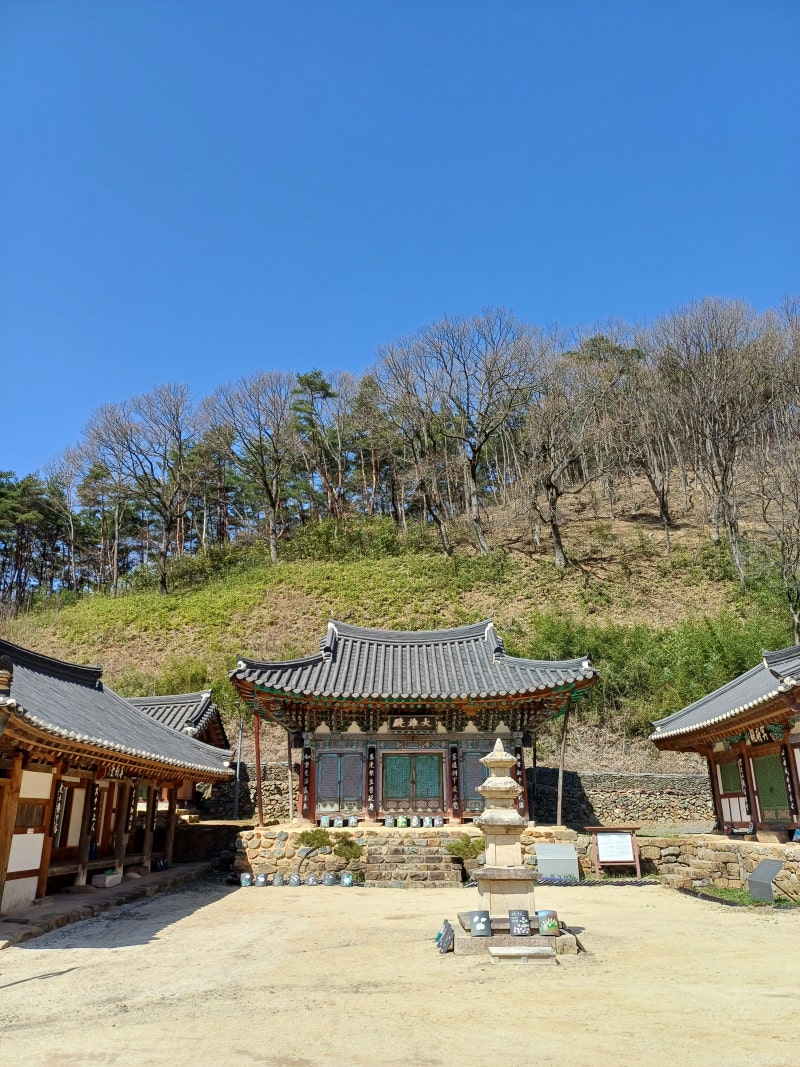구룡산 영지사 부처님 : 네이버 블로그