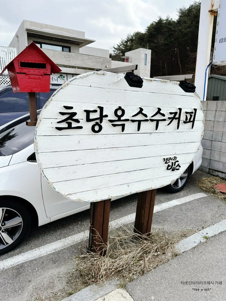  강릉카페 갤러리밥스 초당옥수수커피 감성 가득한 힐링스팟