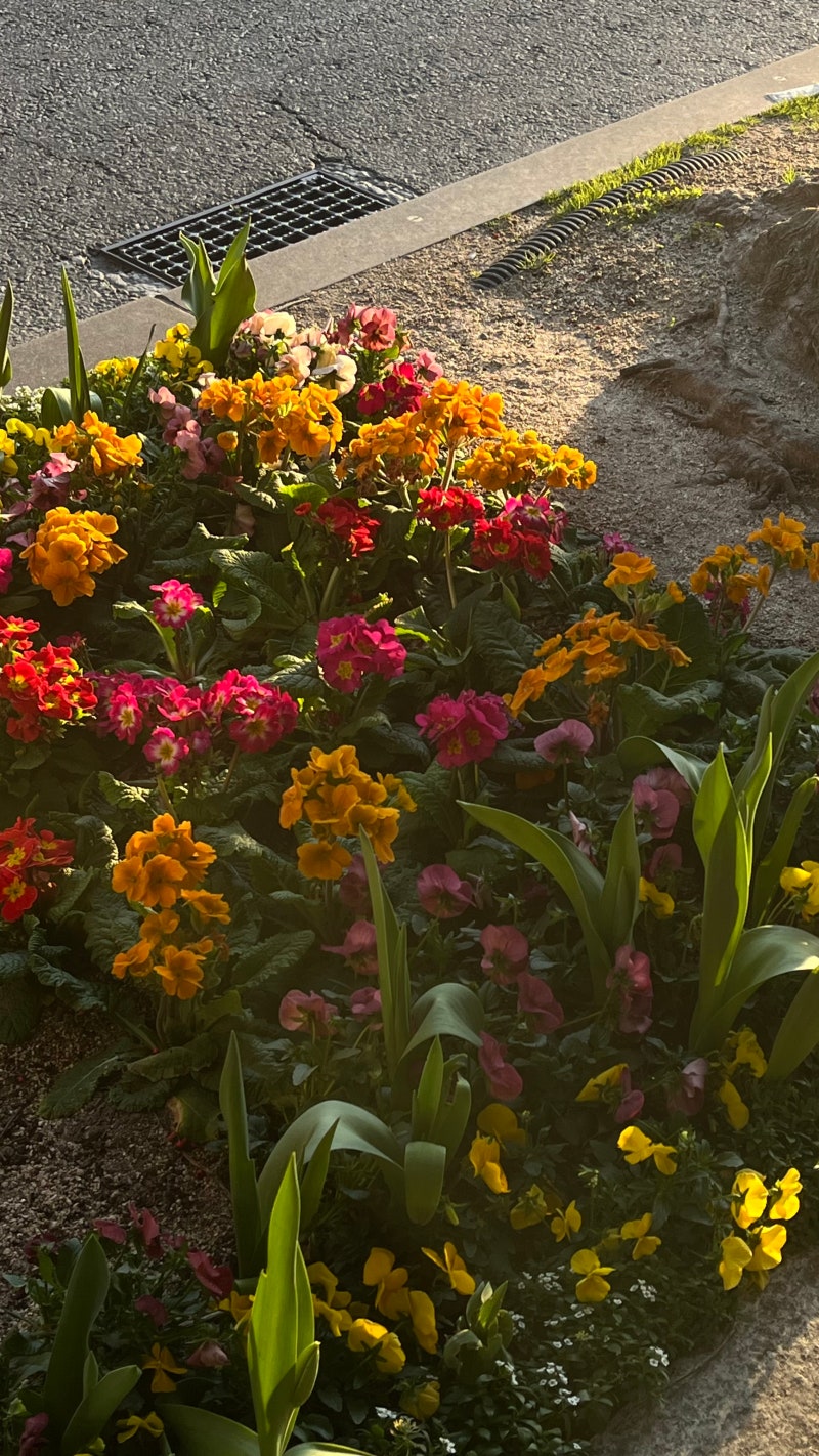 후쿠오카_춘분 : 네이버 블로그