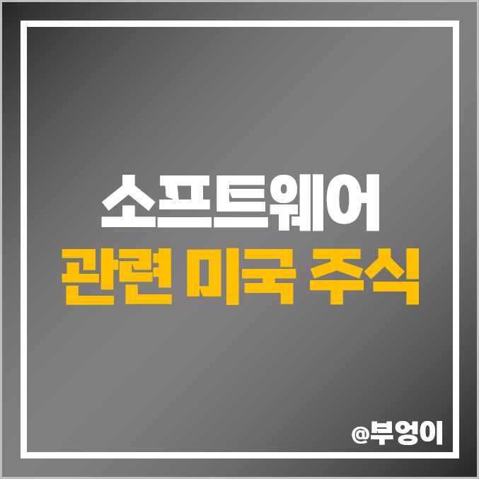 소프트웨어 인프라 관련주 미국 주식 PANW PLTR 팔란티어 목표 주가 소프트웨어 인프라 관련주 미국 주식 PANW PLTR 팔란티어 목표 주가