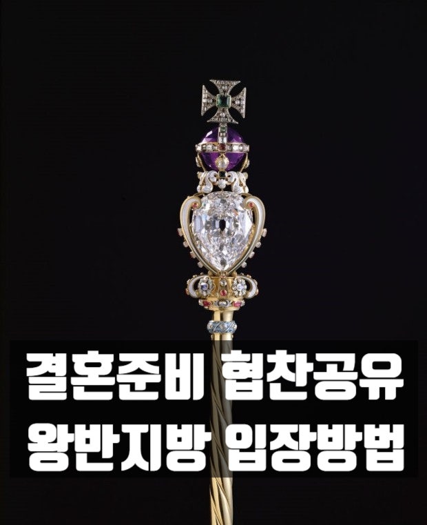  내 힘으로 결혼준비 ; 협찬이나 체험단으로 결혼준비를 알뜰하게 잘 할수 있다? '탄누의 왕반지방'에서 가능!