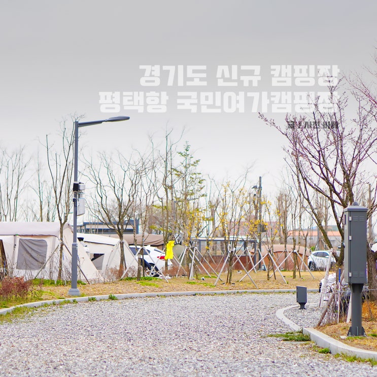  평택항 국민여가캠핑장, 예약 방법 시설 사이트 벚꽃 경기도 신규 캠핑장