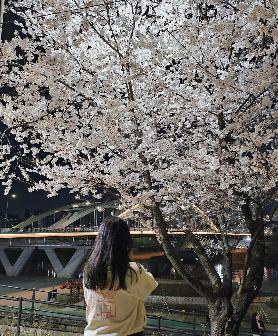 온고지신통닭원 구일점 사진 5