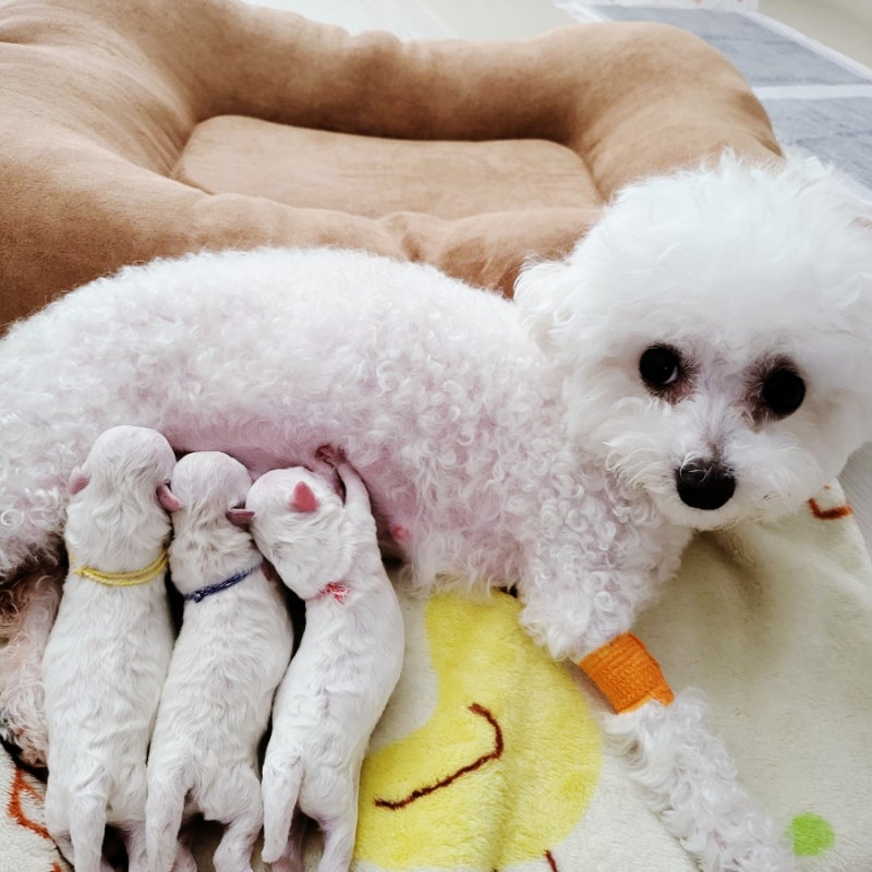 사진 6