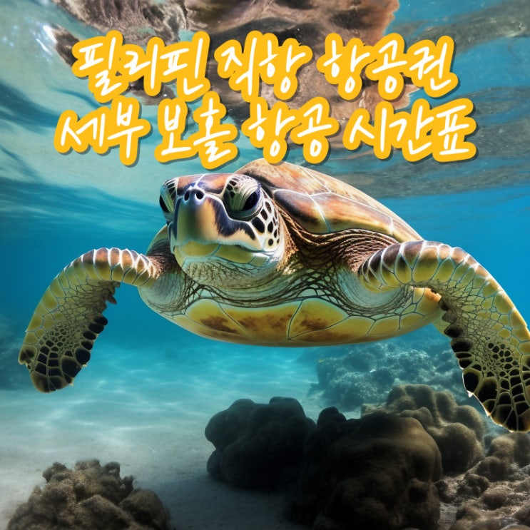  인천에서 세부 보홀 비행기표 직항 항공권 시간표 비행시간