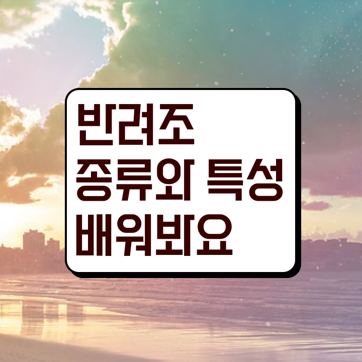  반려조분양 , 반려조관리사 자격증 교육받고 합격한 후기 최단기간 취득한 과정