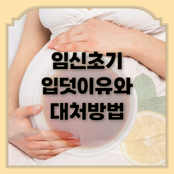  임신초기 입덧이유와 대처방법은?