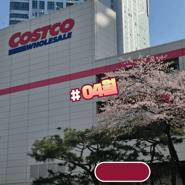  코스트코 캠핑용품 4월 할인상품, 코코 상봉점