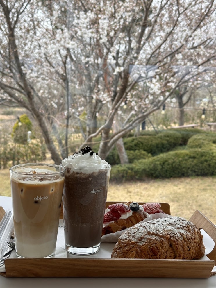 청도 카페 벚꽃 구경 오브제토 커피