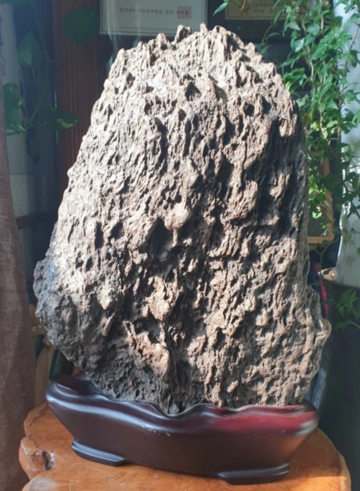  수석 초코석(48×32cm)
