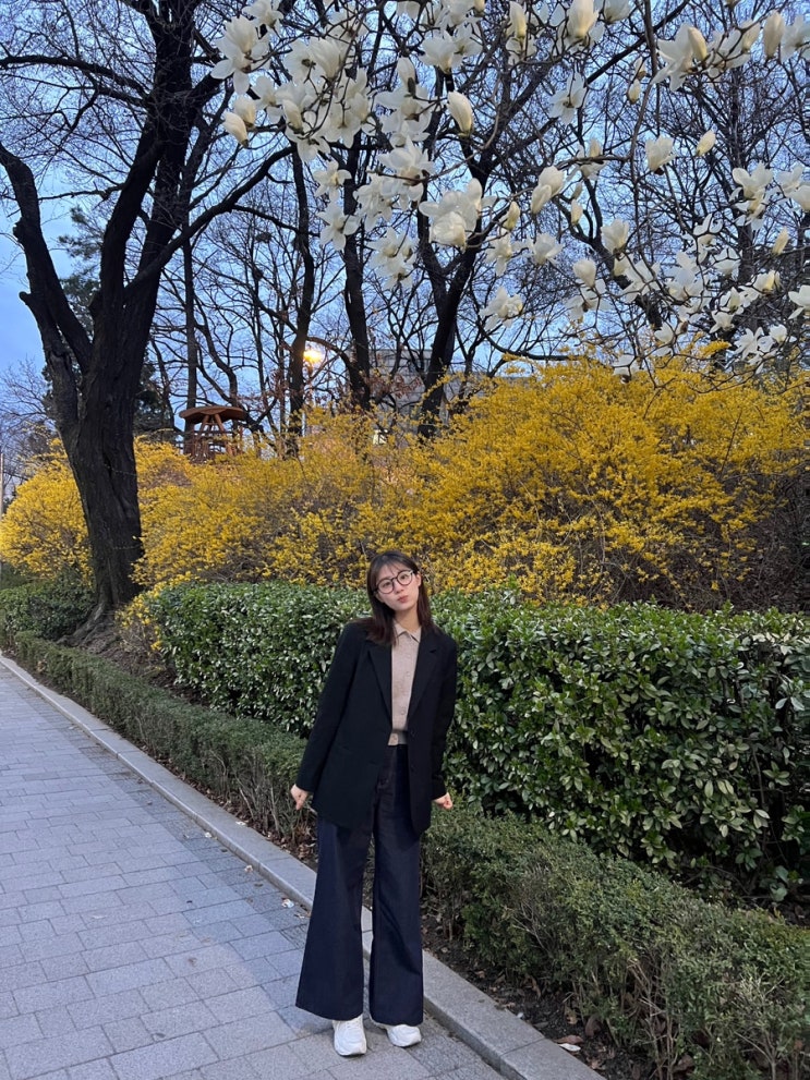  2024년 3월 일상 | (5) 마음속에 들어오면 쉽게 나가지 않아