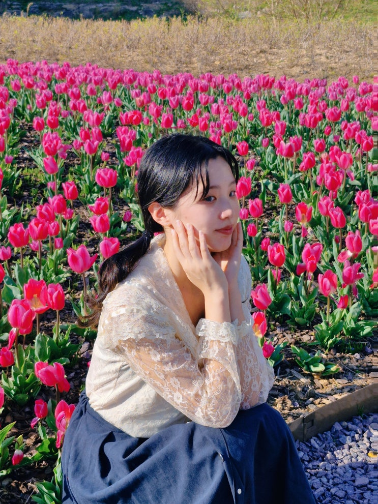  화명생태공원 튤립 보러 다녀온 후기 4/1 개화상황과 튤립 위치공유