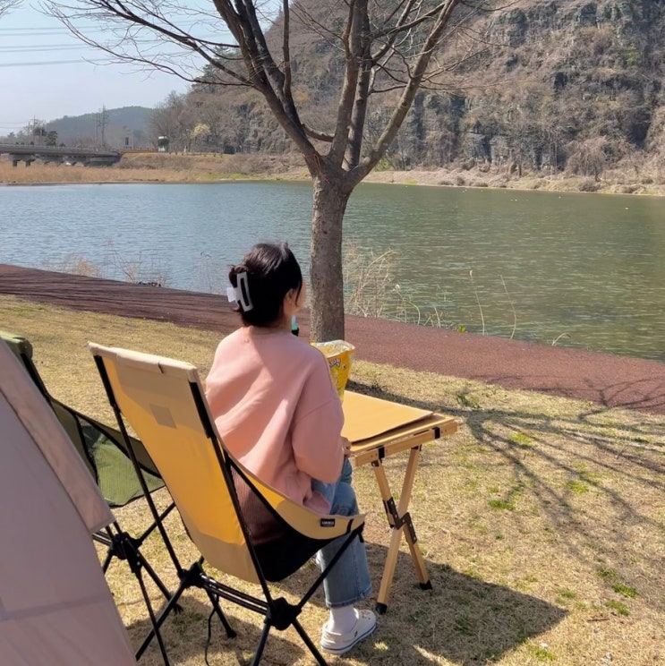  부산 근교 경북 노지 차박지 영천 임고선원강변캠핑장 곰들덤공원 벚꽃캠핑 후기