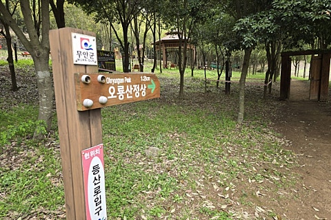 오늘청과2 이미지